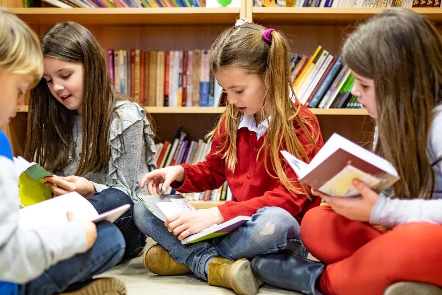 60_VDEI-LITERACYSKILLSFIN-campaign